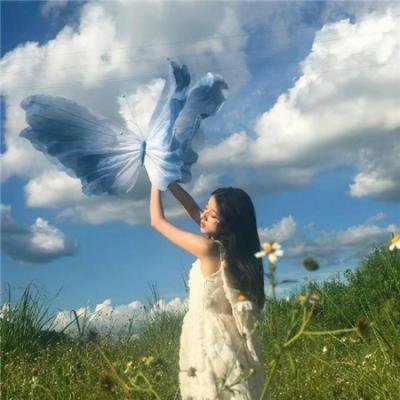 献给阿尔吉侬的花束